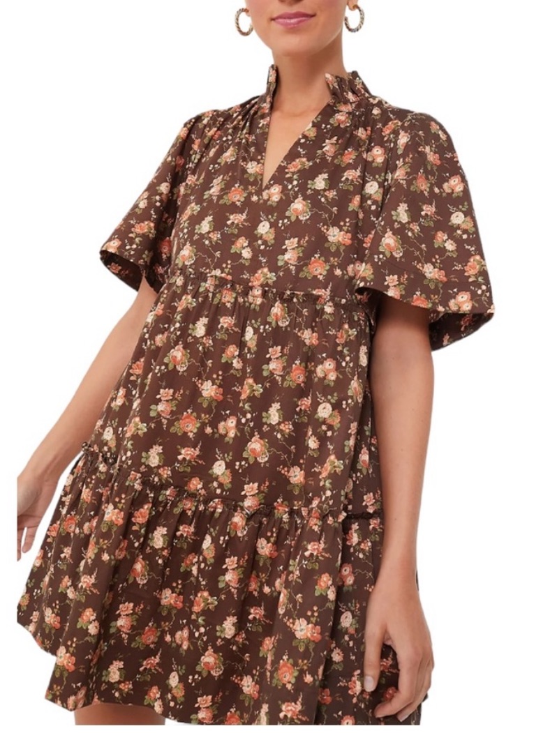 Tuckernuck Rosewood Chintz Crawford Short Sleeve Brown Floral Mini Dress Xxs